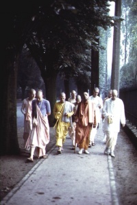 Gallery 6