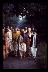 Gallery 8